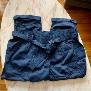 Lane Bryant_Navy Cropped Cargo Pants_Size 18/20